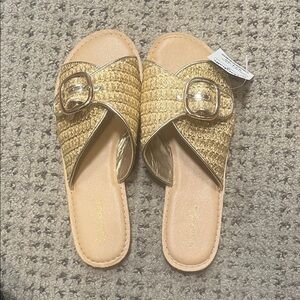 Splendid Gold Buckle Slide Sandals